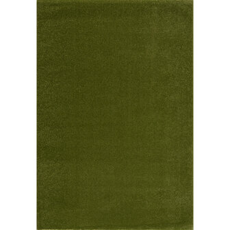 Groen vloerkleed Boston 9509
