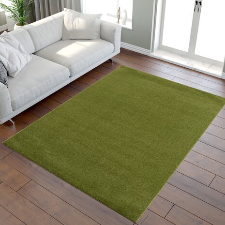 Groen vloerkleed - karpet. Dé webshop in karpetten Vloerkleedoutlet