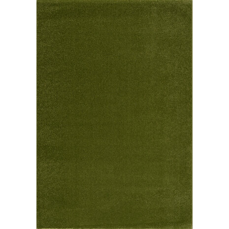 Groen vloerkleed Boston 9509