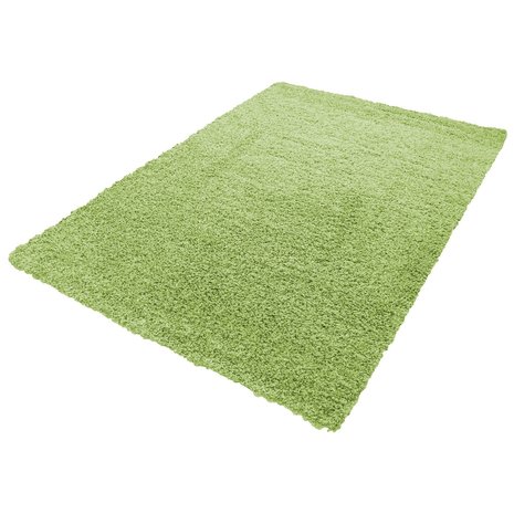 Groene vloerkleden Adriana Shaggy  1500/AY Groen