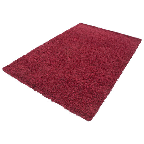 Rode vloerkleden Adriana Shaggy  1500/AY Rood