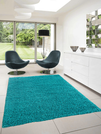 Turquoise vloerkleden Adriana Shaggy  1500/AY Turquoise